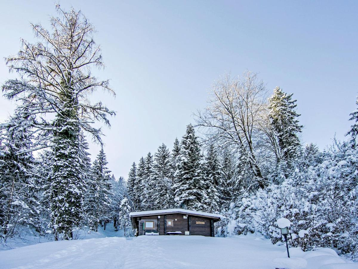 Chalet In Woergl Near Skiwelt Wilder Kaiser Salvenberg Exteriér fotografie